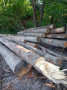 img-20260807-wa0029.jpg
