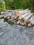 img-20260807-wa0021.jpg