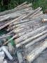 img-20260807-wa0024.jpg