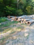 img-20260807-wa0010.jpg