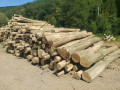 img-20260807-wa0035.jpg
