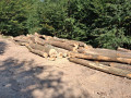 img-20260807-wa0038.jpg