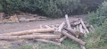 image000000-66.jpg