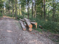 img-20260810-wa0029.jpg
