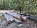 img-20260810-wa0033.jpg