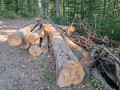 img-20260810-wa0030.jpg