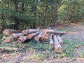 img-20260810-wa0032.jpg