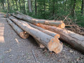 img-20260810-wa0031.jpg