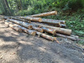 img-20260810-wa0017.jpg