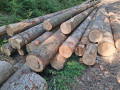 img-20260810-wa0020.jpg
