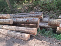 img-20260810-wa0019.jpg