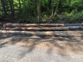img-20260810-wa0021.jpg