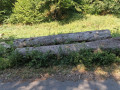 img-20260810-wa0022.jpg
