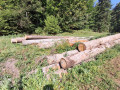 img-20260810-wa0024.jpg