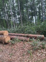 img-20260810-wa0027.jpg