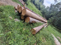 img-20260810-wa0026.jpg