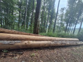 img-20260810-wa0025.jpg
