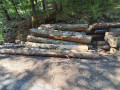 img-20260810-wa0013.jpg