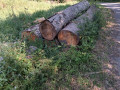 img-20260810-wa0010.jpg