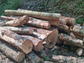 img-20260810-wa0011.jpg