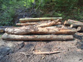 img-20260810-wa0014.jpg