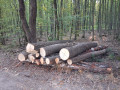 img-20260810-wa0035.jpg