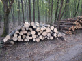 img-20260810-wa0034.jpg