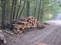 img-20260810-wa0036.jpg