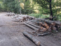 img-20260810-wa0037.jpg