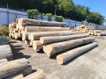 img-20260814-wa0001.jpg