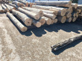 img-20260814-wa0002.jpg
