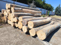 img-20260814-wa0004.jpg