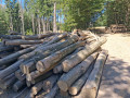 img-20260817-wa0008.jpg
