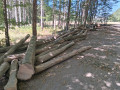 img-20260817-wa0006.jpg