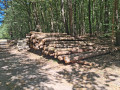 img-20260817-wa0007.jpg