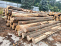 img-20260817-wa0000.jpg