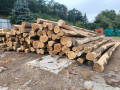 img-20260817-wa0001.jpg
