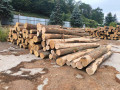 img-20260817-wa0002.jpg
