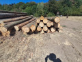 img-20260814-wa0004.jpg