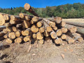 img-20260814-wa0010.jpg