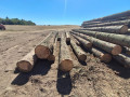 img-20260814-wa0003.jpg