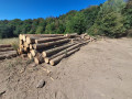 img-20260814-wa0005.jpg