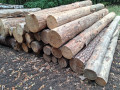 img-20260818-wa0005.jpg
