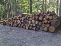 img-20260818-wa0006.jpg