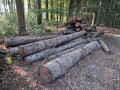 img-20260818-wa0007.jpg