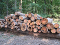 img-20260818-wa0008.jpg