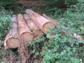 img-20260818-wa0004.jpg