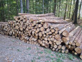 img-20260818-wa0017.jpg