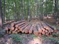 img-20260818-wa0021.jpg