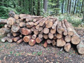 img-20260818-wa0016.jpg